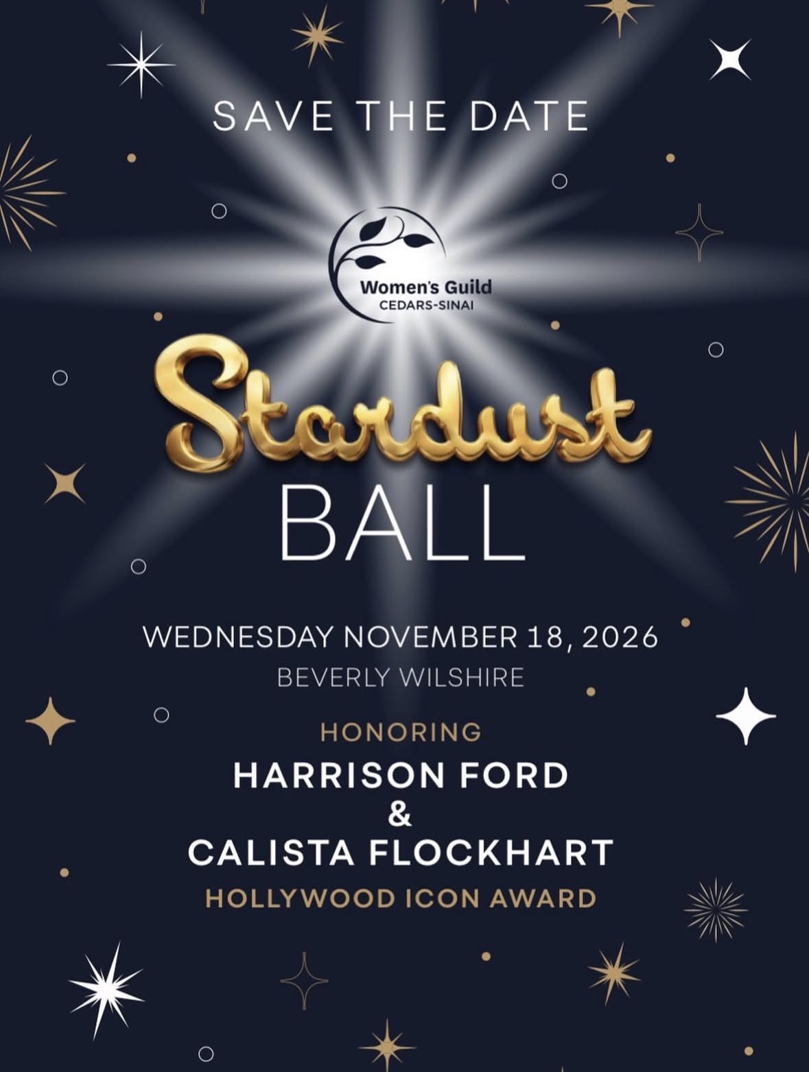 stardust ball 2026 poster
